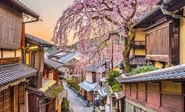 SAKURA ZAMANI JAPONYA-GÜNEY KORE TURU