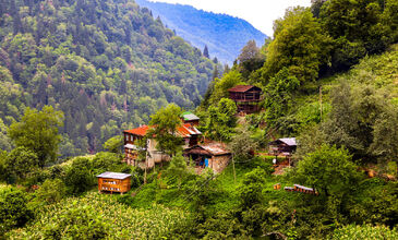 07-13 MAYIS 2026  BOYDAN BOYA BATI-DOĞU KARADENİZ TURU