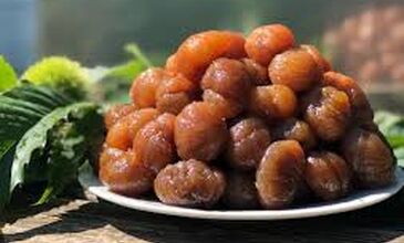 07-08 ŞUBAT 2026 BURSA KAYAK MERKEZİ-BURSA-GÖLYAZI TURU