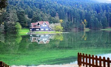 17-19 NİSAN 2026 ABANT & YEDİGÖLLER & GÖLCÜK&ORMANYA&MAŞUKİYE&BURSA TURU