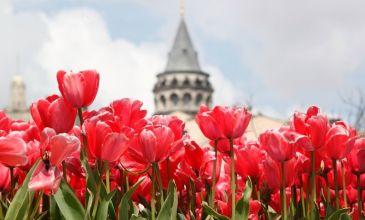 21-24 MAYIS 2026 KEYİF İSTANBUL TURU