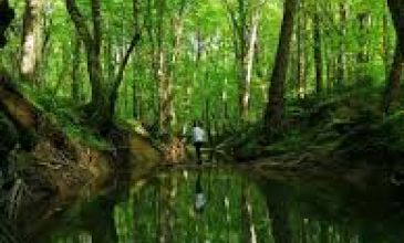 BAMBAŞKA MUHTEŞEM TRAKYA TURLARI