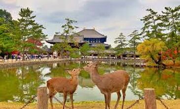 03-17 NİSAN 2027 SAKURA ZAMANI JAPONYA-GÜNEY KORE TURU