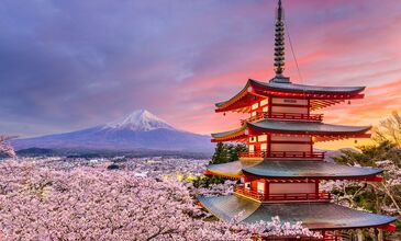 03-17 NİSAN 2027 SAKURA ZAMANI JAPONYA-GÜNEY KORE TURU