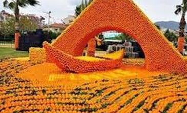 ADANA  PORTAKAL ÇİCEĞİ FESTİVALİ 